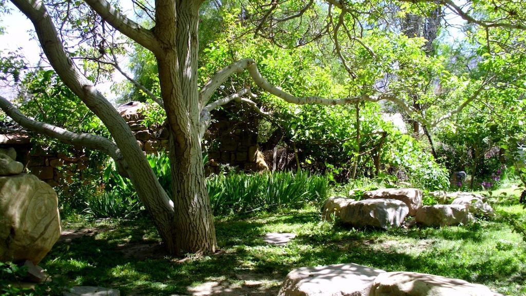 فندق تيلكارافي  La Casa Del Indio المظهر الخارجي الصورة